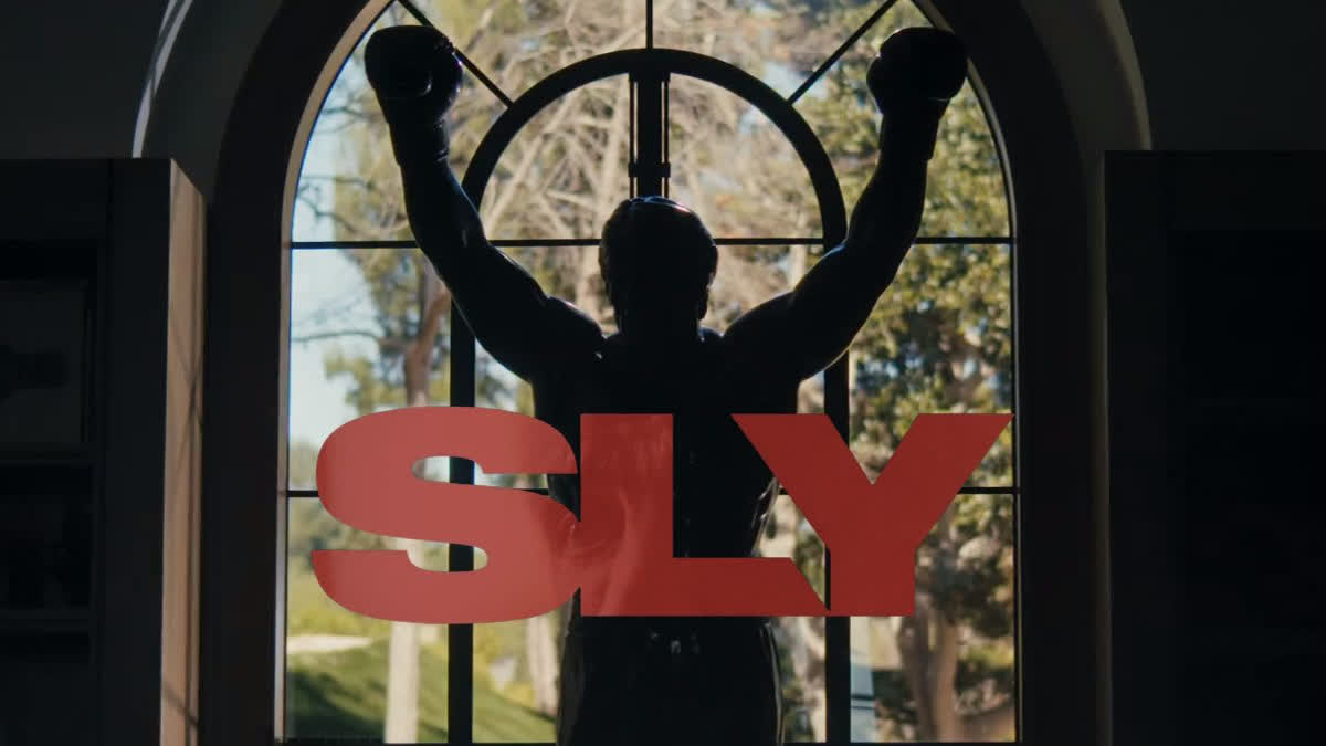 Netflix making documentary on 'Sly'
