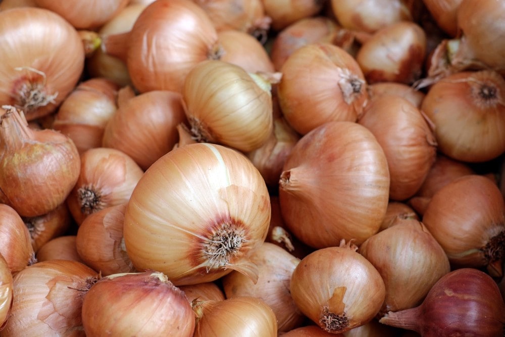 Centre directs NCCF and NAFED to procure 7 lakh tonnes of onion for the buffer from Farmers