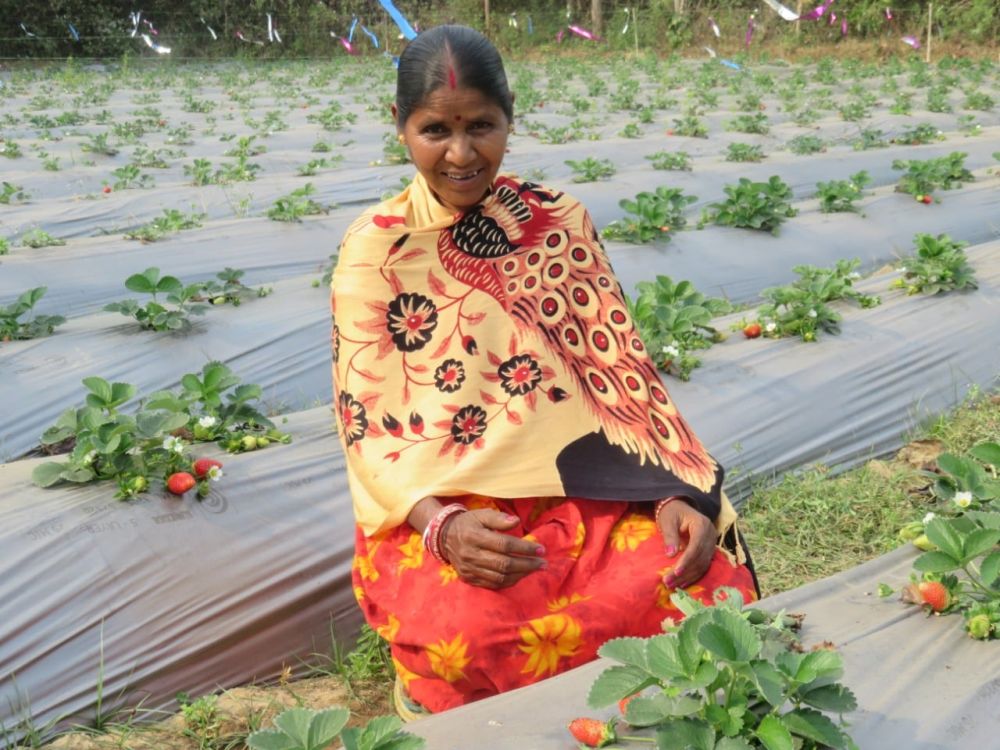 Women-are-also-becoming-successful-farmers-in-Jharkhand-through-drip-irrigation-project