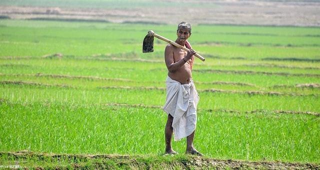 झारखंड में किसानों के 1529.01 करोड़ रुपये के ऋण माफ़