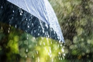 क्लाउड बैंड के असर से झारखंड के कई जिले में हल्के से मध्यम दर्जे की बारिश हो सकती है