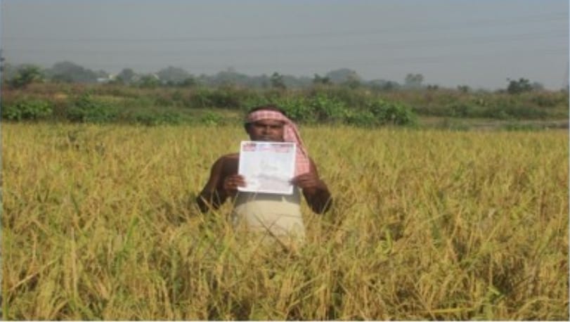 A-Jharkhand-farmer-shows-the-way-to-balanced-fertilizer-management-A-model-for-balanced-fertilizer-use-emerges-from-the-fields-of-Dhanbad