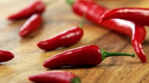Hot chilli may lead to new treatments for obesity