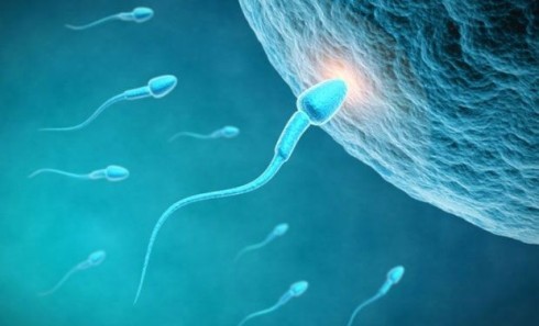 New sperm test pinpoints infertility treatment