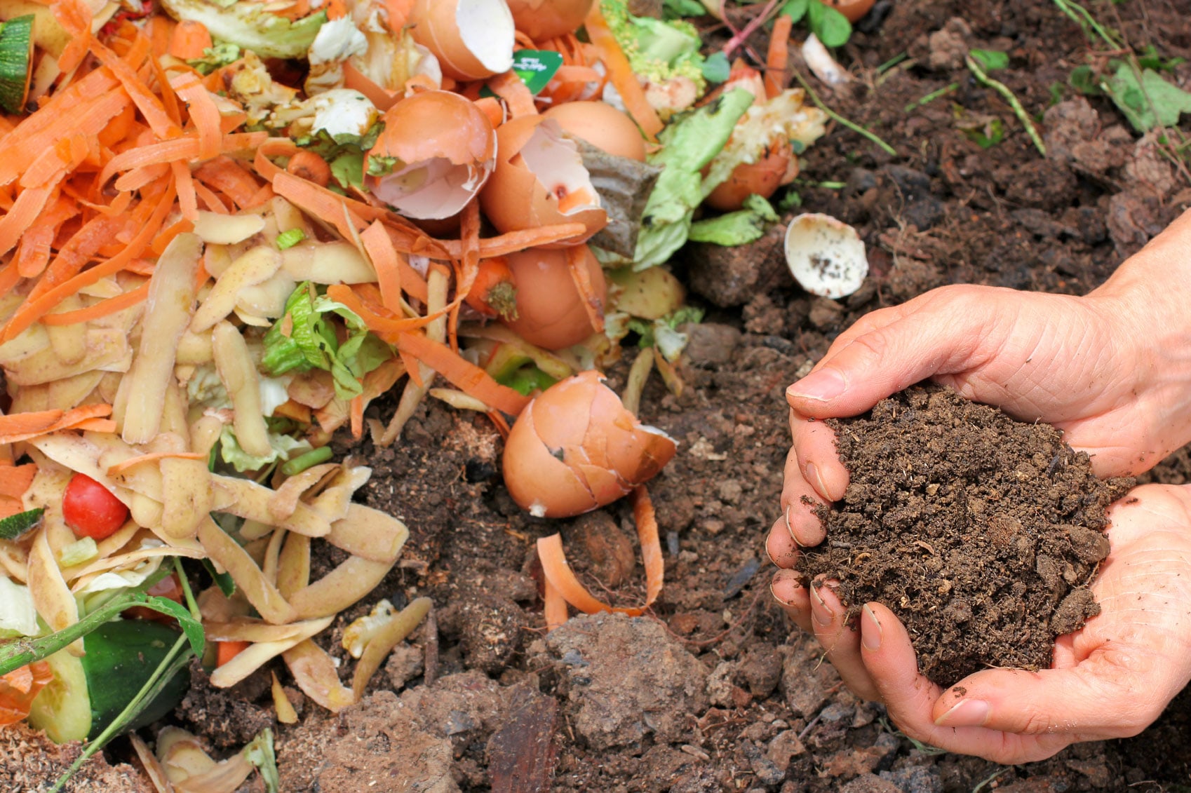 Dispose of organic waste in pots,make compost,use it in kitchen garden
