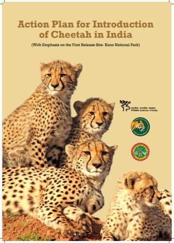 Centre unveils Project Cheetah to bring back India’s only extinct large mammal – the cheetah