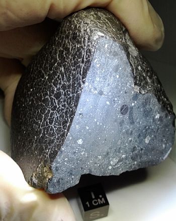 New Martian meteorite is one of a kind