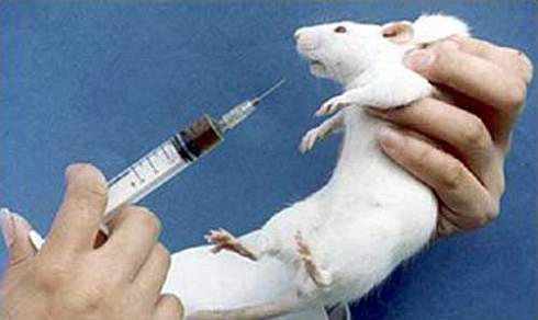 No More Animal Testing?