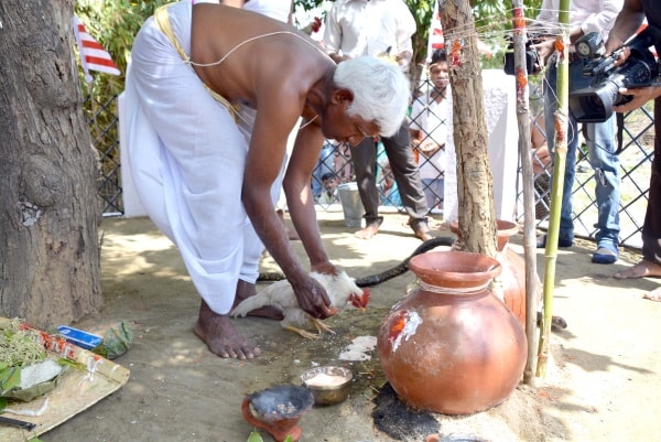 <p>Tribal Pahan performs puja at the Sal tree on the occasion of Sarhul (Tribal festival ) in Ranchi on Thursday</p>
