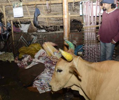 <p>In a letter to SSPs,Jharkhand Principal Secretary(Home) has ordered that they should ensure that no illegal slaughter houses/abattoirs operate in their areas of jurisdiction in…
