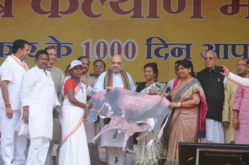 <p>BJP National President Amit Shah distributes cows during "Garib Kalyan Mela" on 1000 days achievements of Government of Jharkhand during a programme in Ranchi on Saturday.…