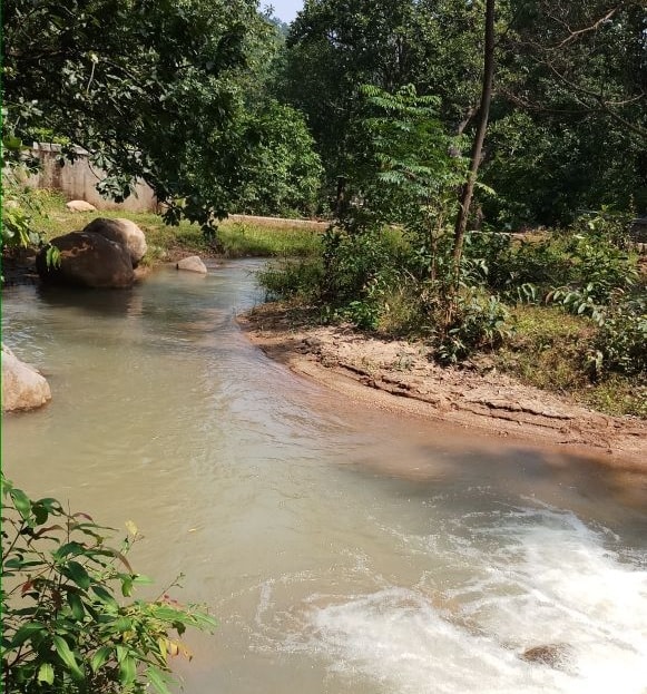 <p>A rivulet flows through the picturesque forest of Netarhat area in Latehar district of Jharkhand.</p>
