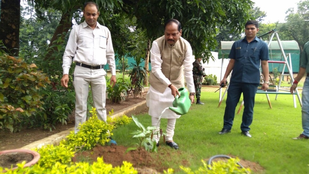 <p>Jharkhand CM Raghubar Das planted saplings inside his official residence in Ranchi and appealed to people to plant more and more trees for clean and green environment</p>
