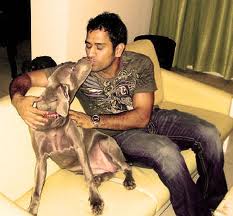 Dhoni is a true dog lover