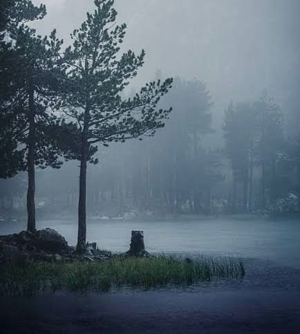 national-workshop-chart-a-course-of-action-to-accelerate-gis-based-forest-boundary-digitisation