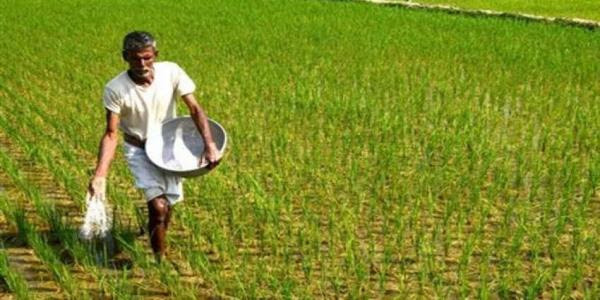 Double bonanza for Jharkhand farmers with the introduction of Krishi Ashirwad Yojna
