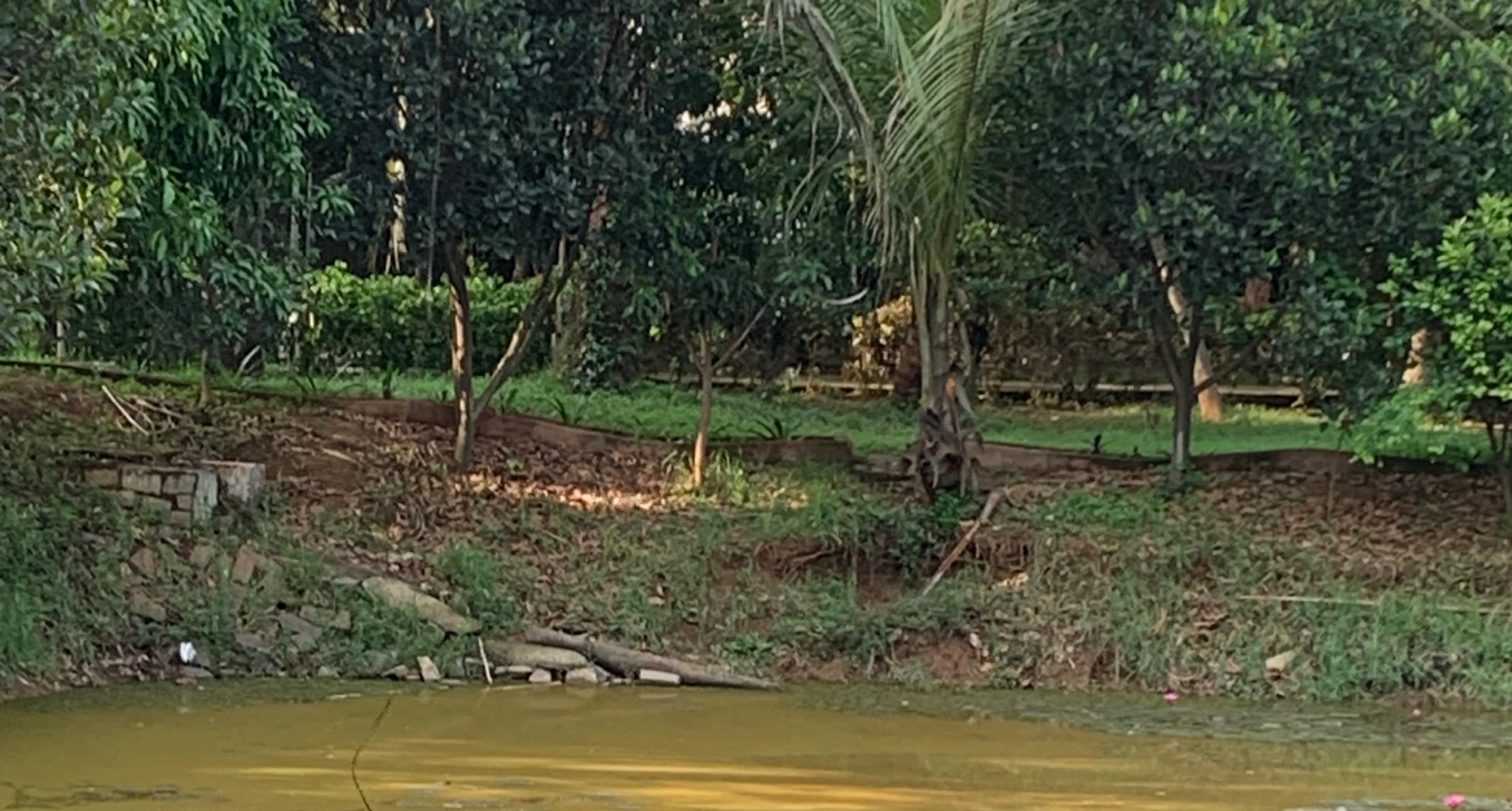 forest-rivers-wildlife-and-coasts-figure-at-the-centre-of-indias-national-planning-processresult
