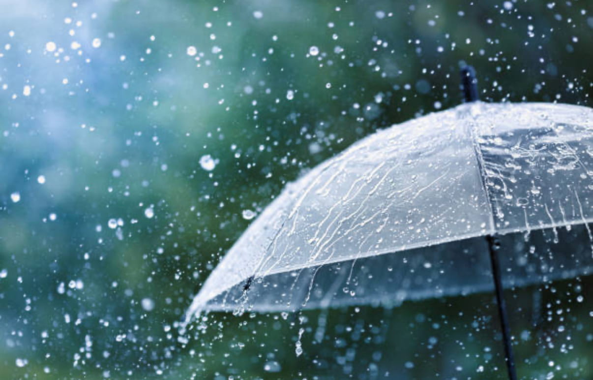 imd-red-alert-signalling-spell-of-extremely-heavy-rain-across-four-states-visible
