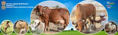 At a Glance Department of Animal Husbandry, Fishery and Dairy in 2024