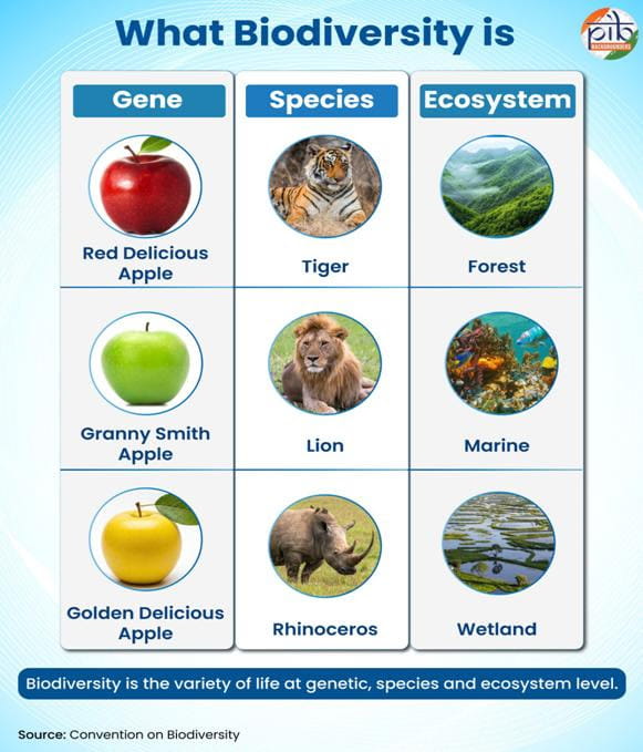a-glance-at-biodiversity-from-legal-frameworks-to-green-action-at-grass-roots-in-india