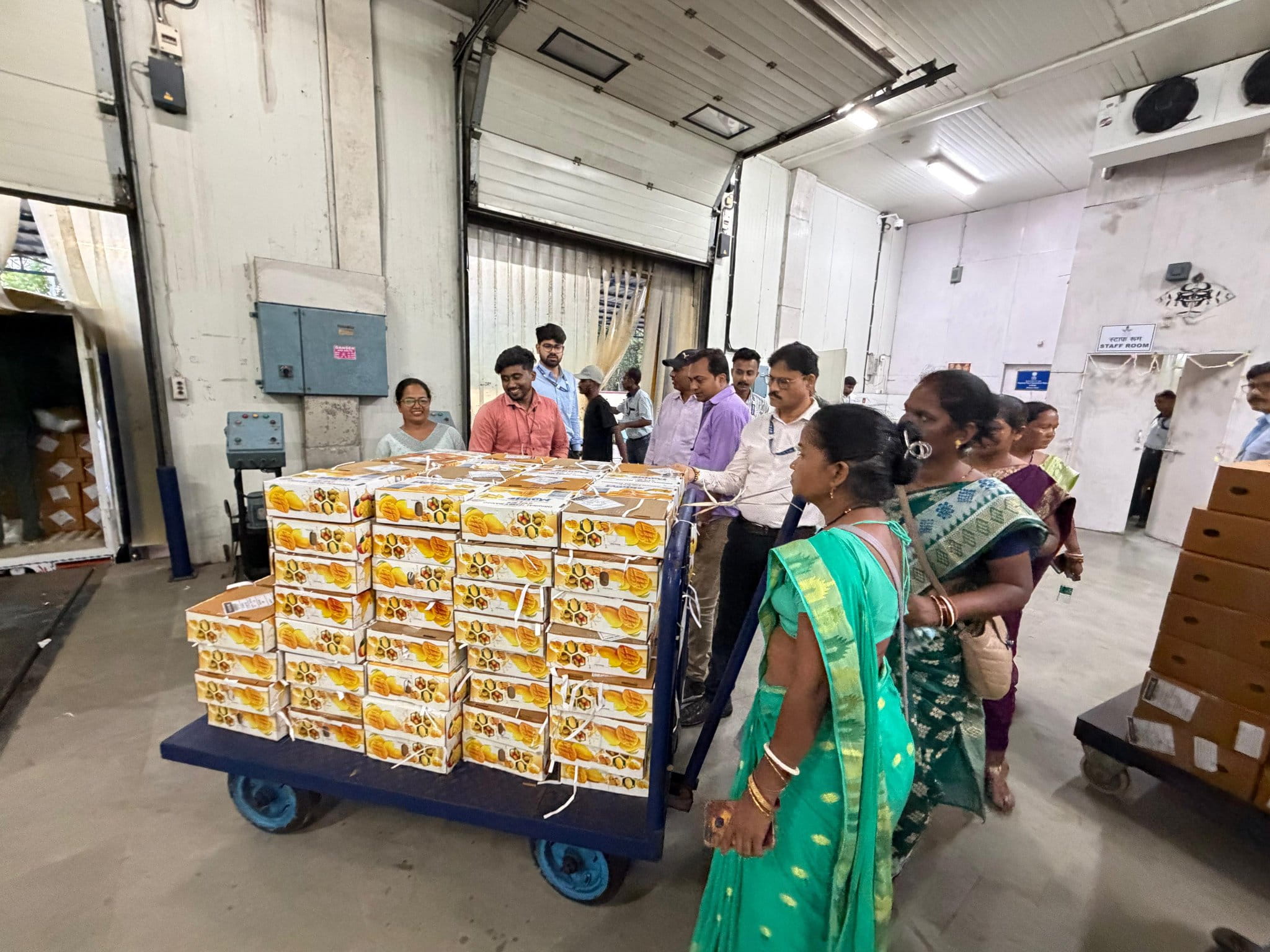 first-export-of-fresh-amrapali-mangoes-from-jharkhand-goes-to-united-kingdom-thanks-to-apeda