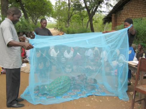 Jharkhand Govt to buy 7,22,152 mosquito nets to contain Vector-borne diseases