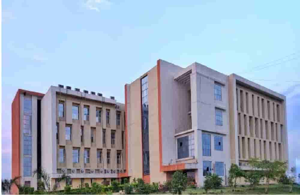 nusrl-ranchi-seeks-gi-tag-for-jharkhands-cultural-heritage-mandar-and-deoghar-peda
