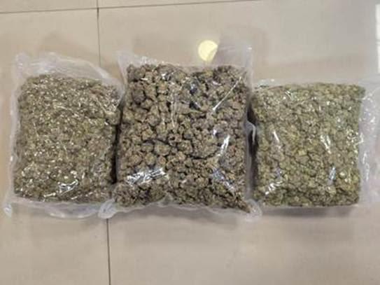 DRI launched operation weed out, seized Hydroponic weed worth Rs 42 crore from Bangkok passengers 