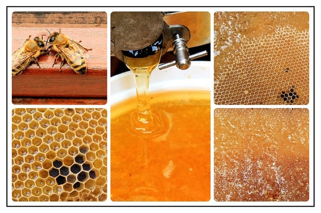 Exclusive: India becomes second largest exporter of Honey in the world  