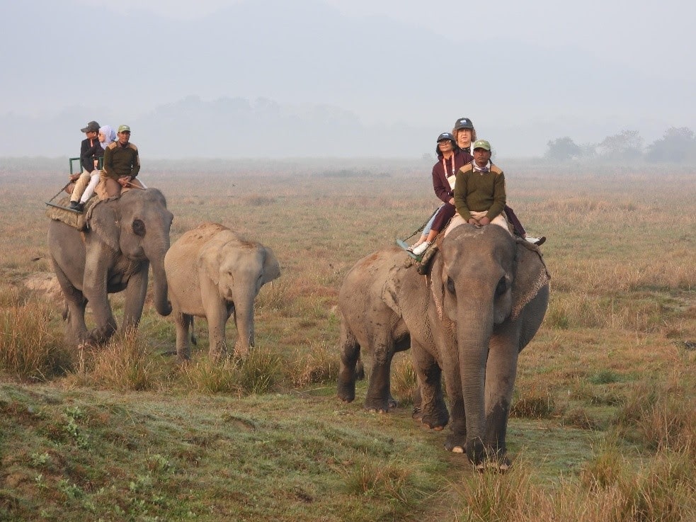 Kaziranga National Park and Tiger Reserve registers record-breaking footfall of over 4 lakh tourists during 2024-25