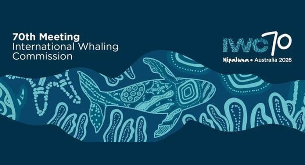 india-underlines-science-based-conservation-of-whales-and-other-cetaceans-at-70th-meeting-of-the-iwc-70