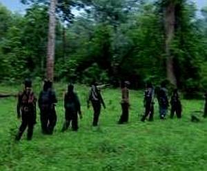 Inter-State anti Naxal cell ready to take on Maoists