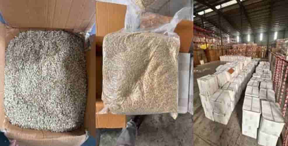 dri-seizes-25000-kg-pakistan-origin-watermelon-seeds-arrest-two-persons-for-evading-import-prohibition