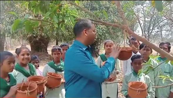 Adivasi students hang earthen pots filled with water on trees for birds