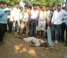Man trampled to death by wild elephants in Giridih