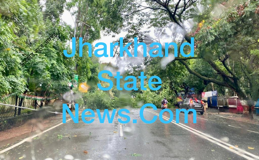 Heavy rains, stormy wind damage trees in Morahabadi Maidan