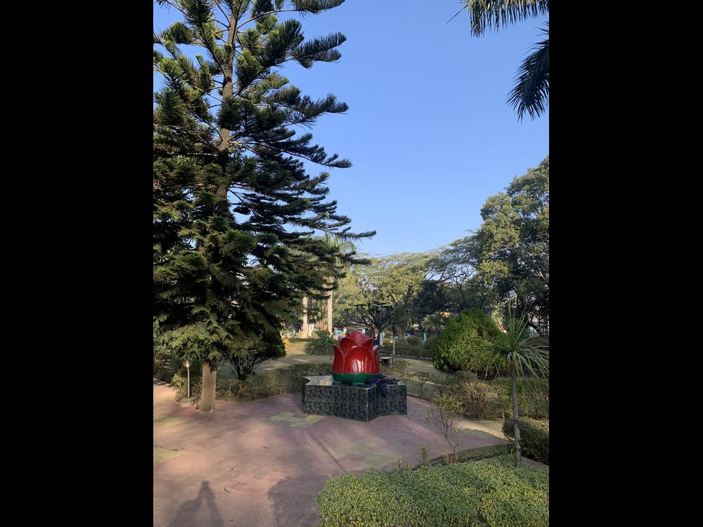 Breaking News: Against India’s recorded Forest Area of 23.59% of its geographical area,forest cover constitutes  15.83% : NR-7 Report 