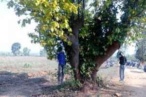 Five Hindus nabbed after 2 Muslims hanged to death in Latehar