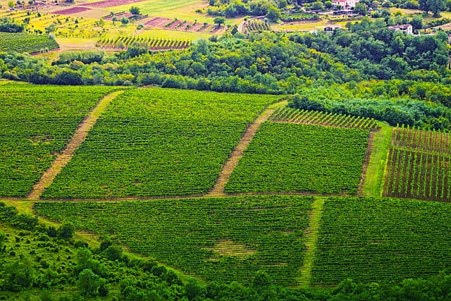 national-mission-for-sustainable-agriculture-steps-taken-to-build-climate-resilient-farming-in-india