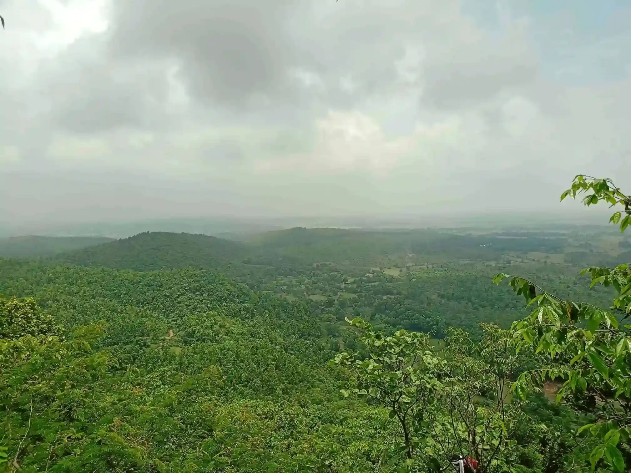 Monsoon Advances Across Telangana, Odisha, Bihar, Chhattisgarh and Jharkhand: IMD