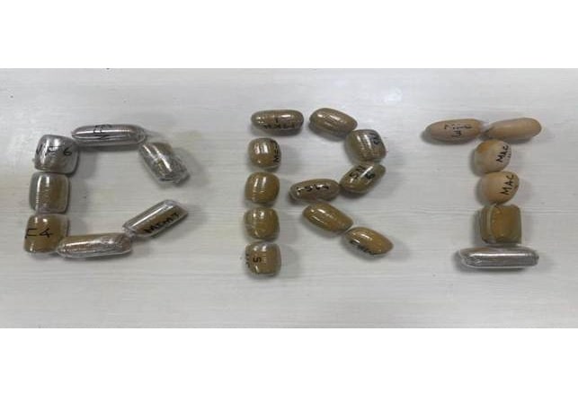 'Operation Golden Sweep': Over a dozen smugglers arrested, 10.5 kg gold seized 