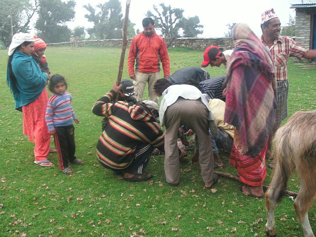 Three Maoists beaten to death in Gumla