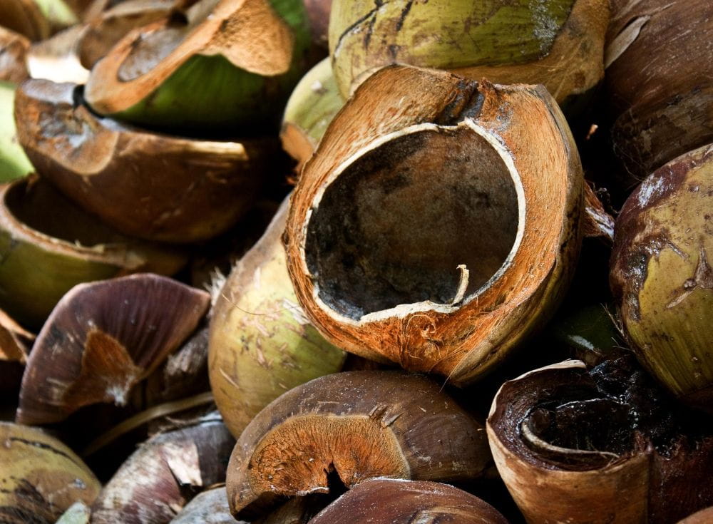 coconut-husk-a-catalyst-for-rural-entrepreneurship-womens-empowerment-and-sustainable-livelihoods