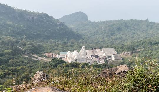 Maintain sanctity of the Parasnath Hill, ban consumption of liquor, non- veg food: Jharkhand HC 