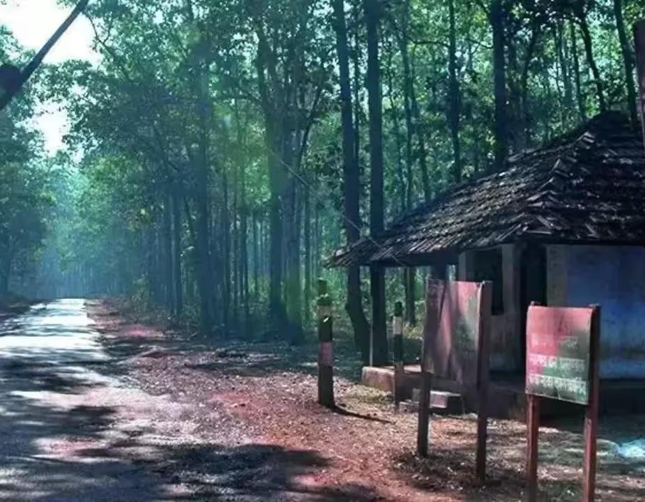 Notification of Saranda Wildlife Sanctuary case: SC directs Jharkhand Chief Secretary to appear before it on October 8 