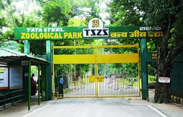 Bacterial infection caused death of 10 Blackbucks in Tata Steel Zoological park in Jharkhand  