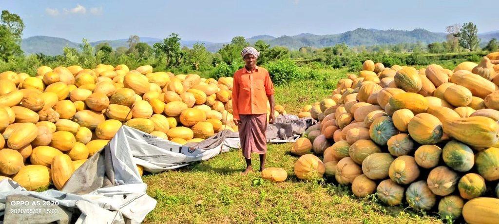 Farmers await govt's help for sale of  their perishable vegetables 