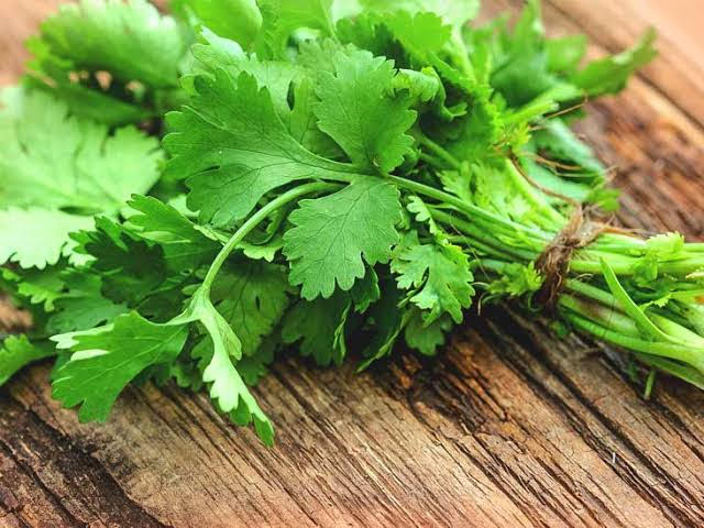 Coriander price rises, Dhania chutney becomes costly