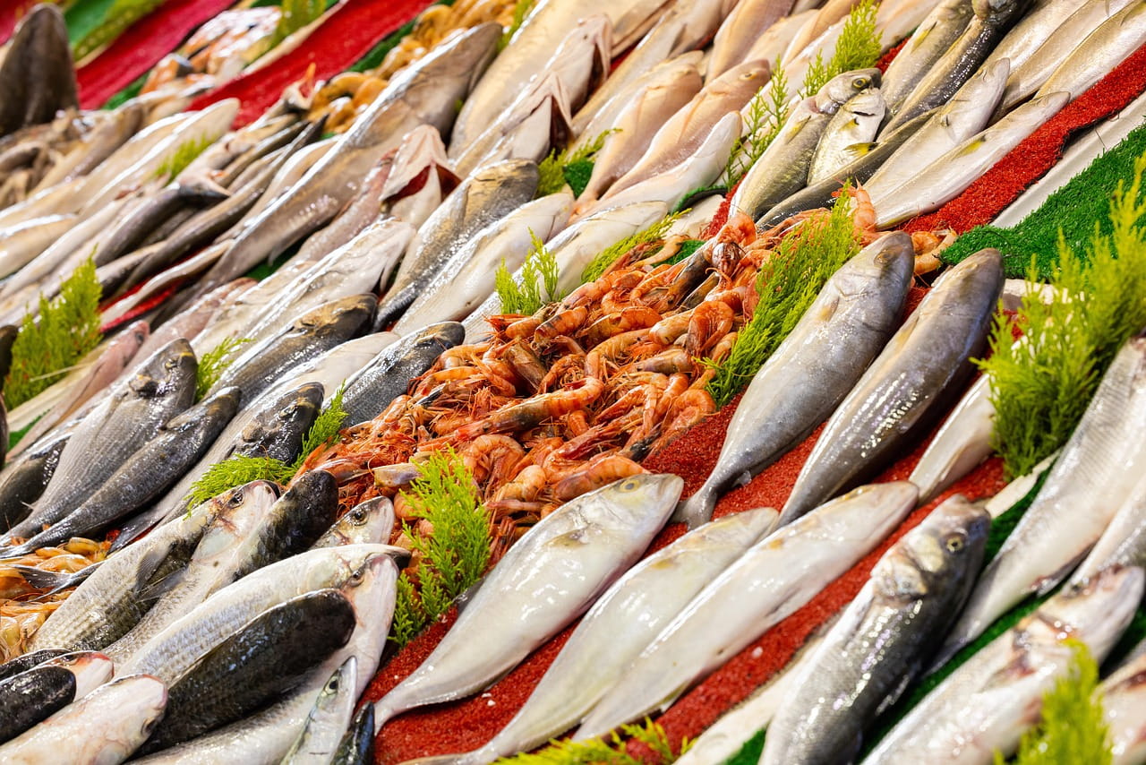 breaking-news-sea-food-sector-set-to-get-a-boost-with-eu-authorising-india-to-export-aquaculture-products-for-human-consumption