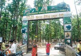 Tigress died due to kidney disease inside Birsa Zoo in Ranchi 